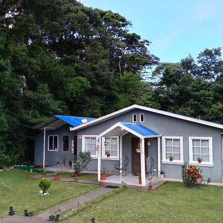 Вилла Lissadell Country House Монте-Верде Экстерьер фото